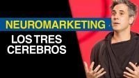 NEUROMARKETING - El principio de los tres cerebros